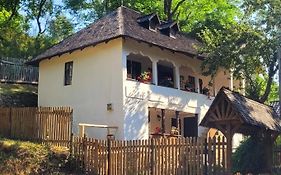 Conacul Copilăriei